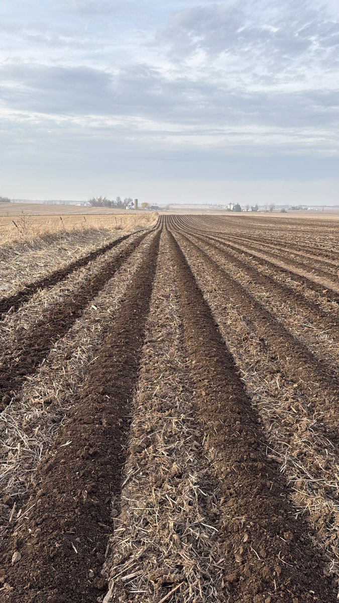 Nick Rich tweet media