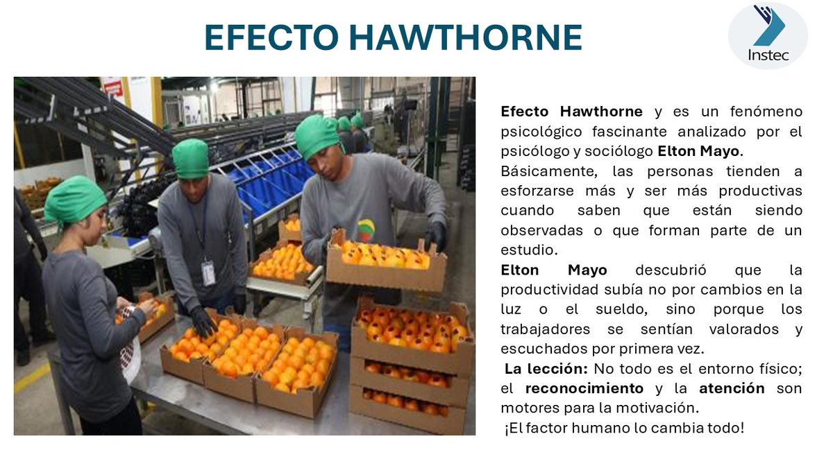 instecvit's tweet photo. Efecto Hawthorne, propuesto por el psicólogo Elton Mayo en la planta Hawthorne Works(Chicago), revolucionó nuestra forma de entender la productividad. https://t.co/dIoyocNXIR