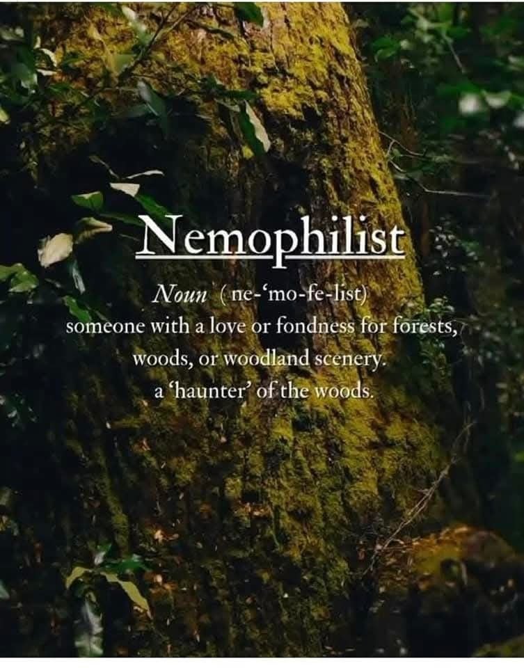 love drops tweet media