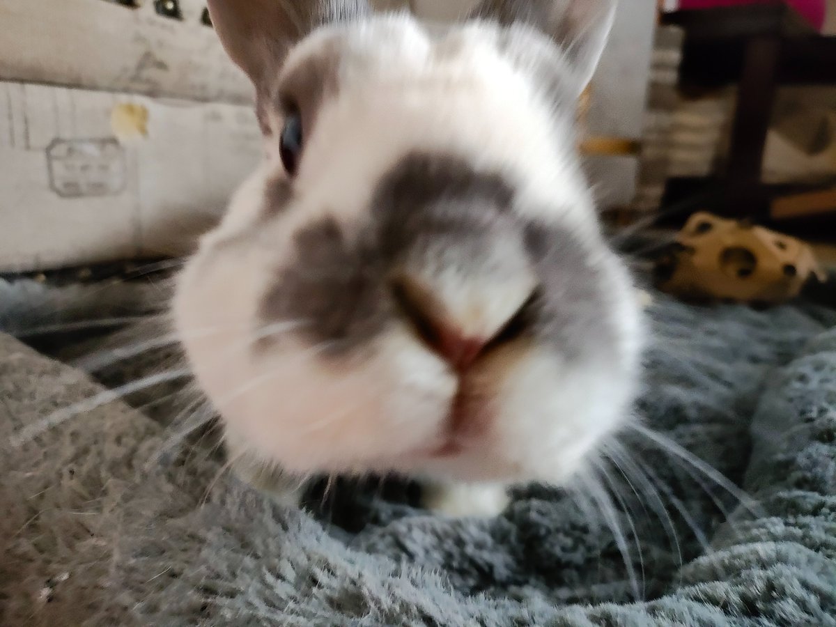 Princess Sephiroth 🍉 tweet media