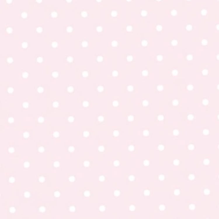 rαe ♡ tweet media