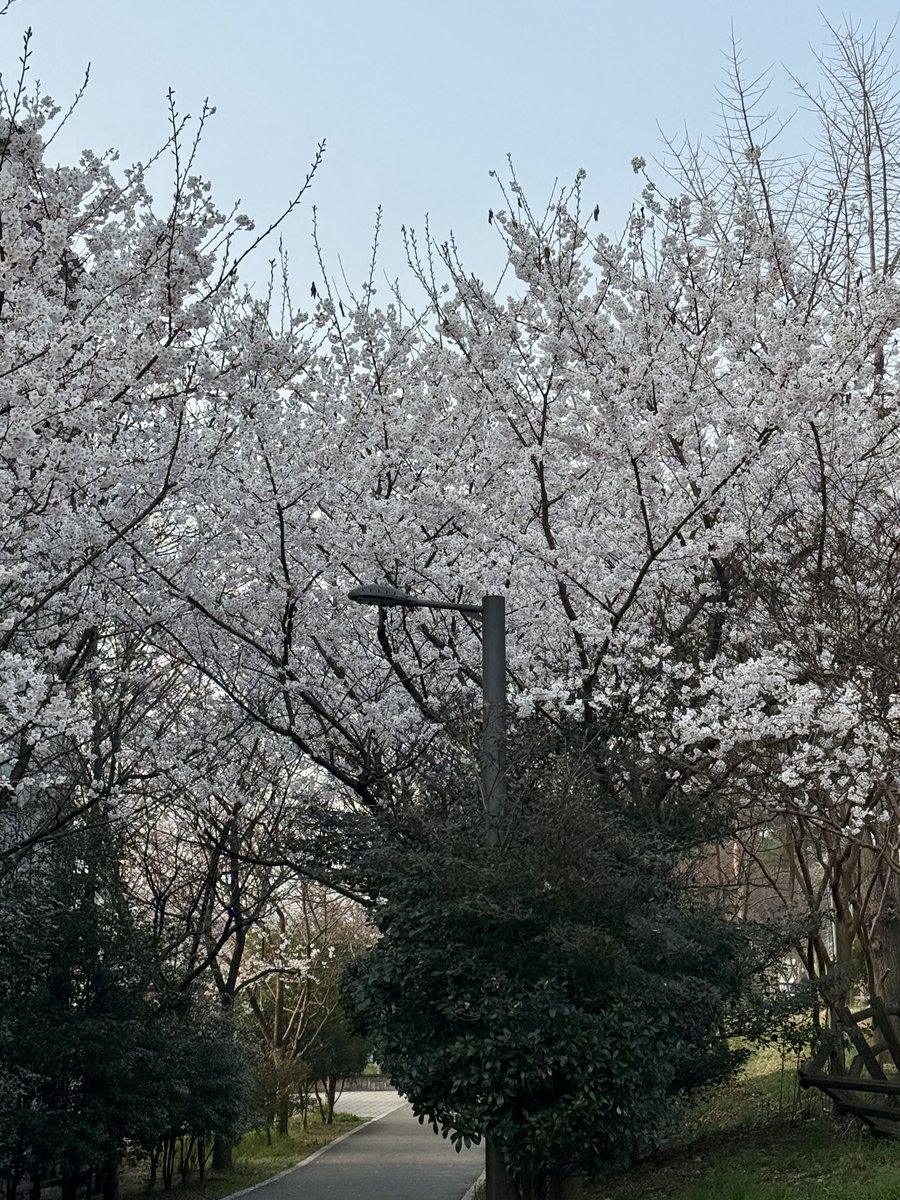 찐헤비약이🐤 tweet media