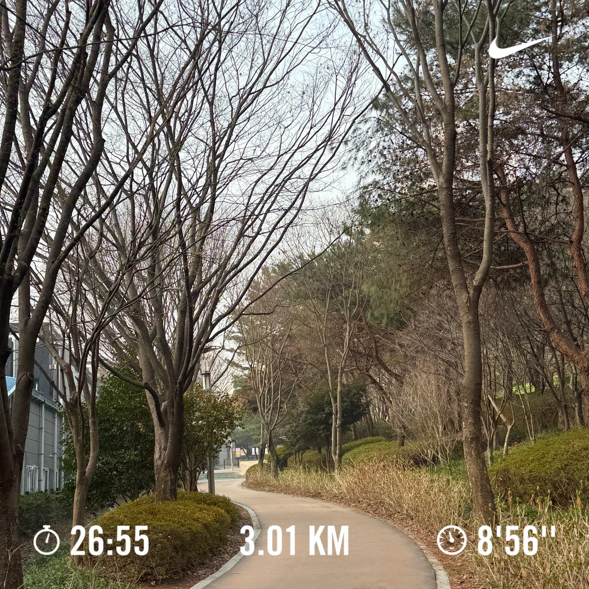 찐헤비약이🐤 tweet media