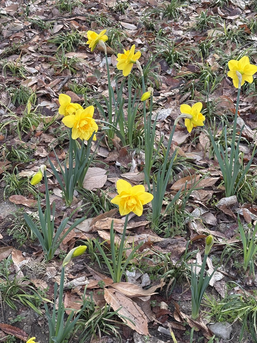 찐헤비약이🐤 tweet media