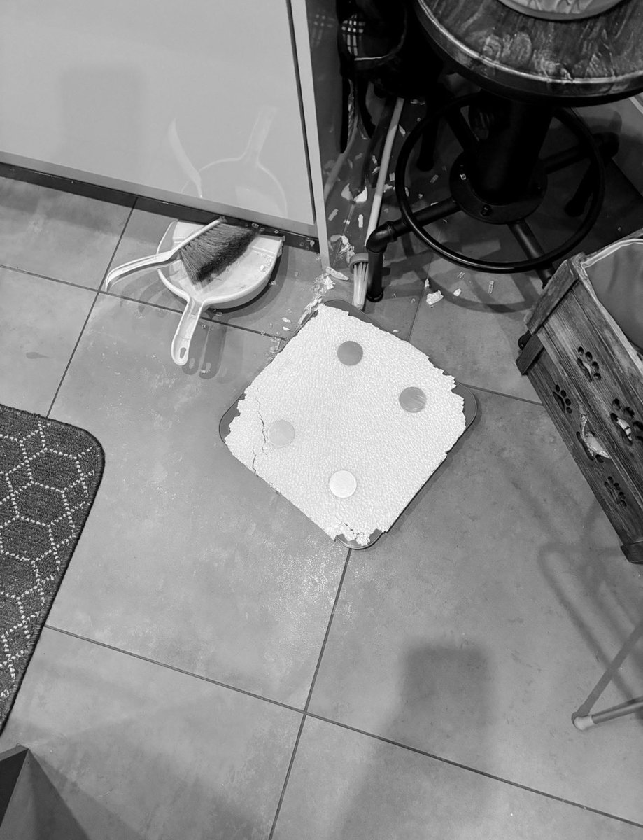 DIVA supreme of binging tweet media