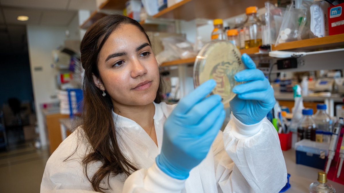 UMass Chan Medical School tweet media