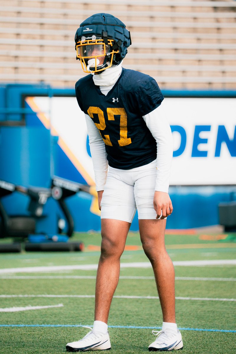 Lennox Lemon 3 ⭐️ tweet media