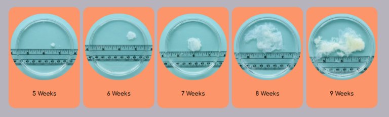 15ho99jn tweet media