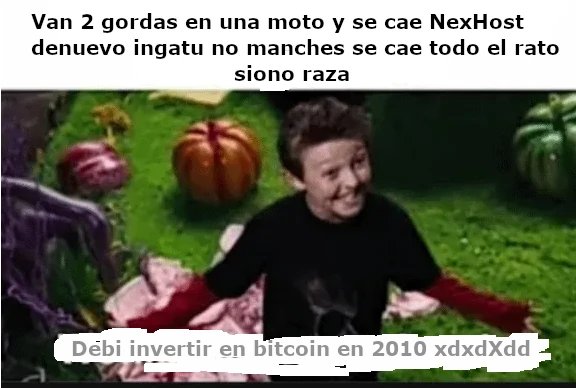 Nex Hosting tweet media