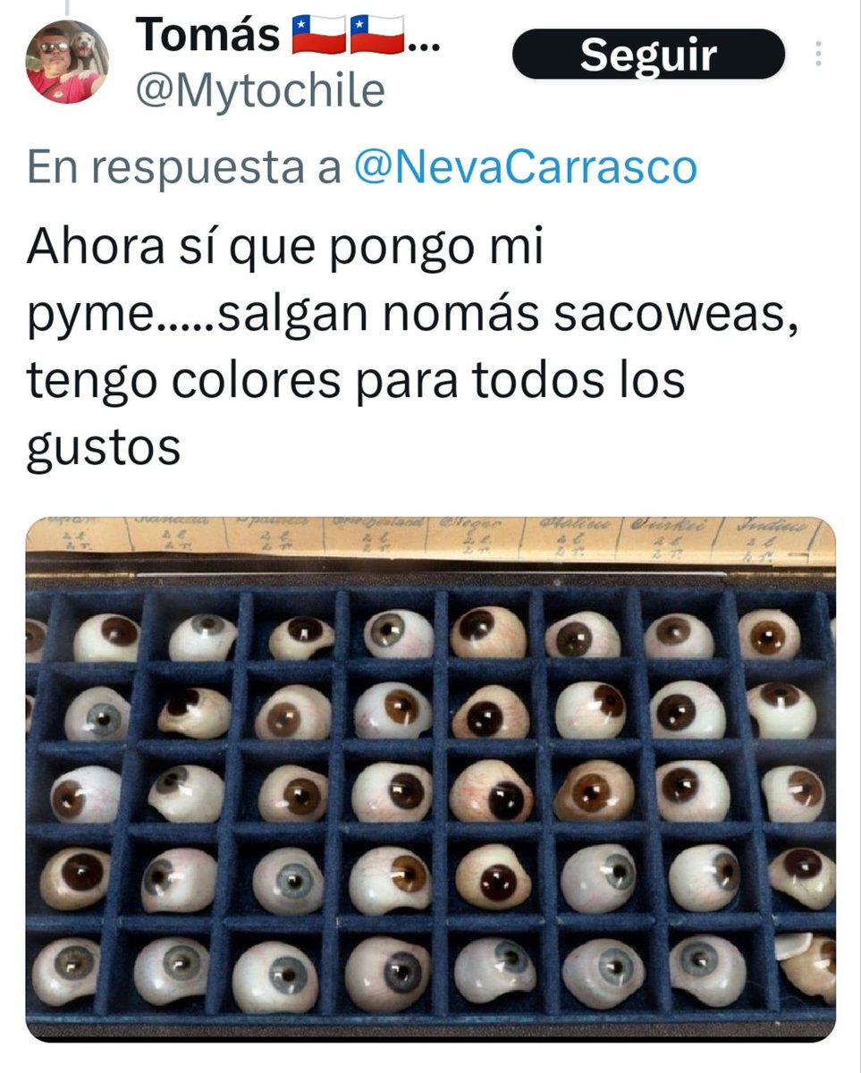 Dislexica2.0 tweet media