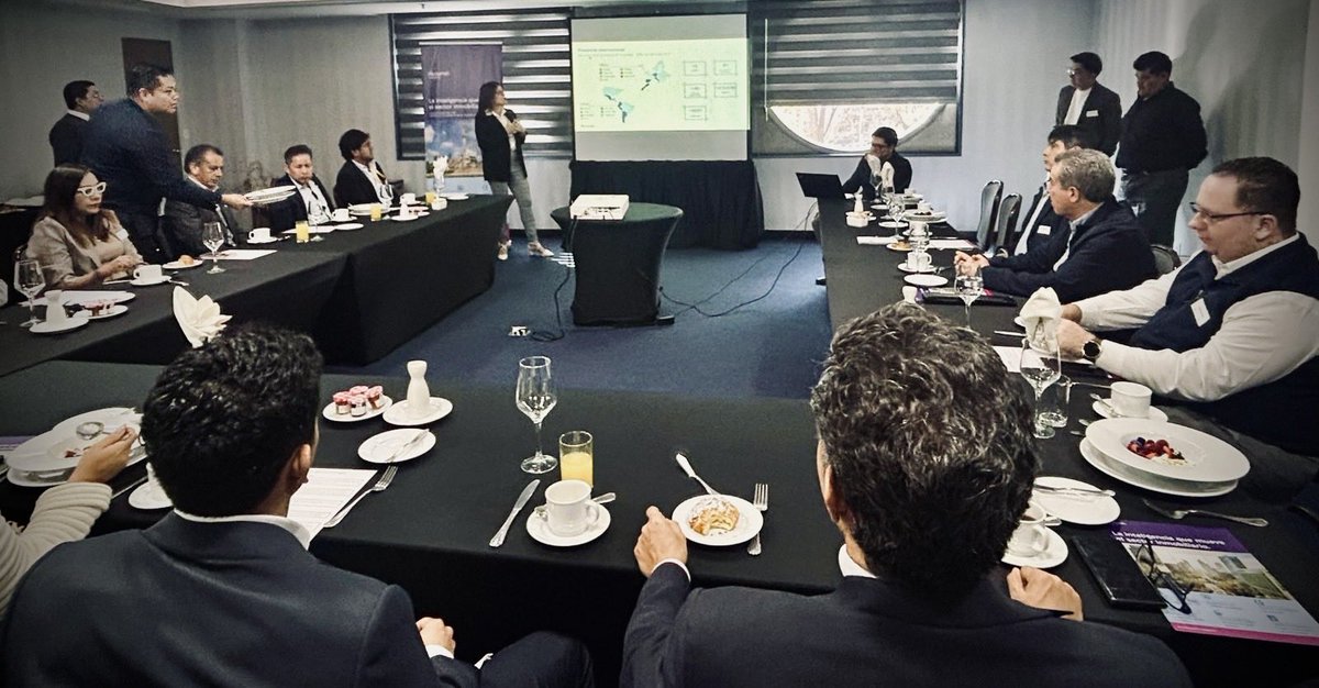 Tinsa México by Accumin tweet media