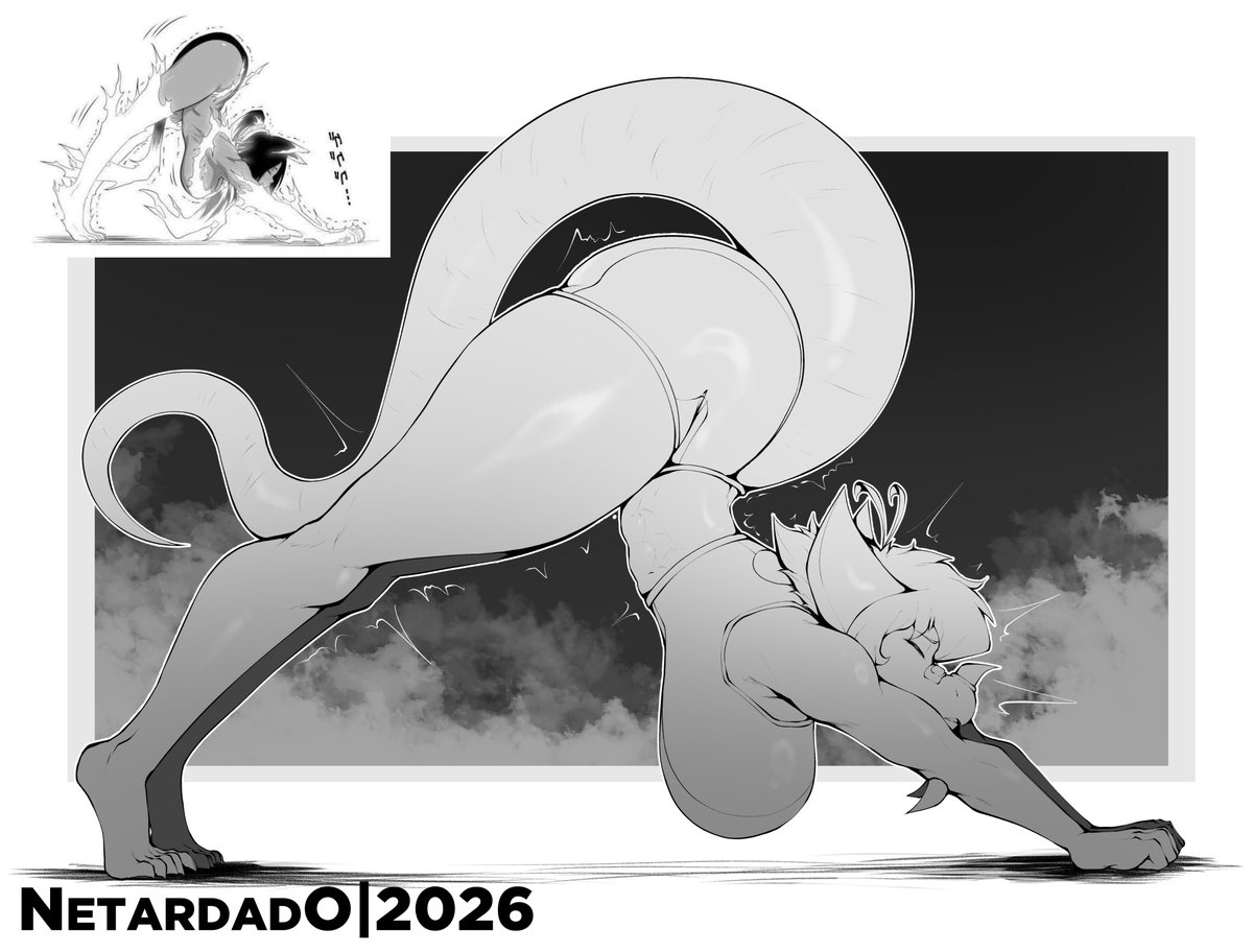 NetarDado tweet media