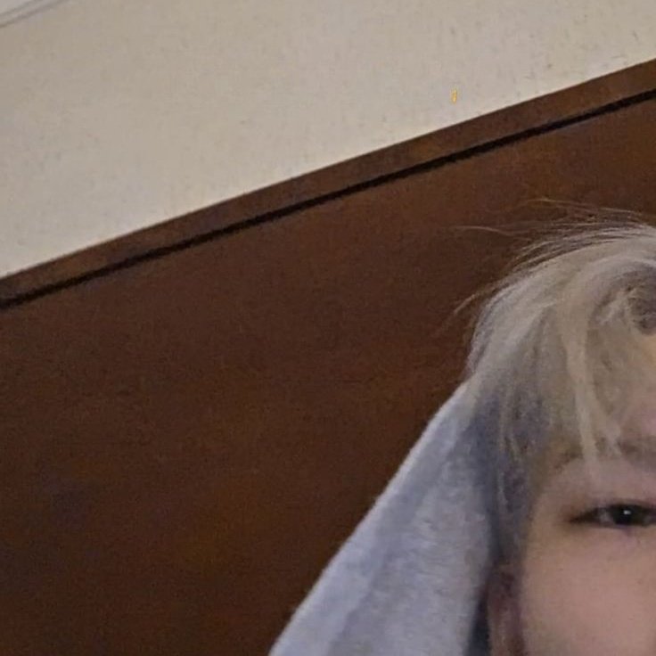 vii~ ENHYPEN IS 7 tweet media