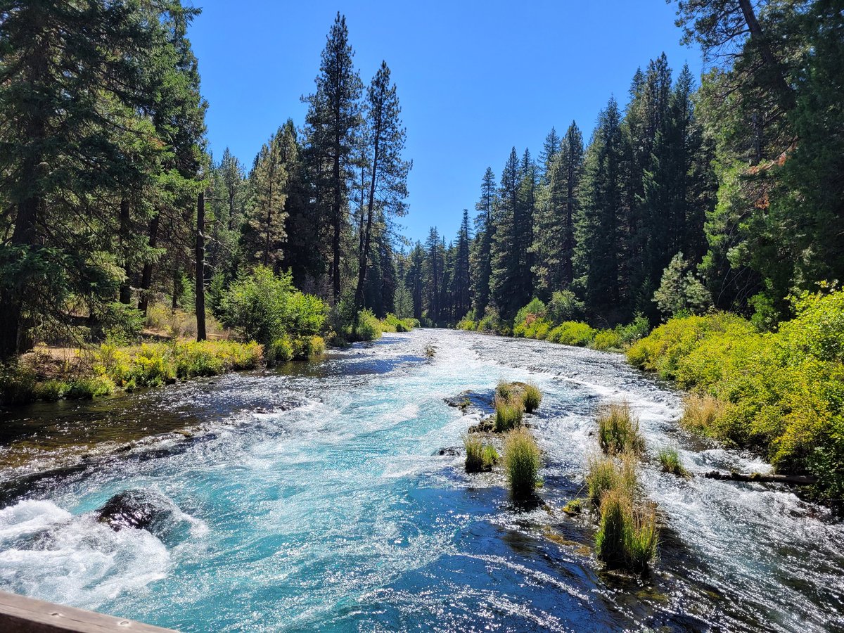 Kathy Hake tweet media