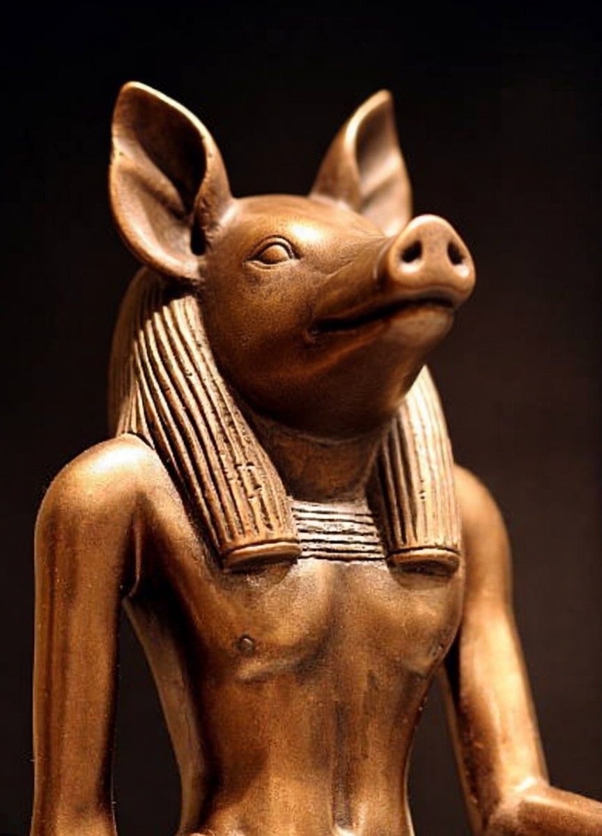 Wigger pig tweet media