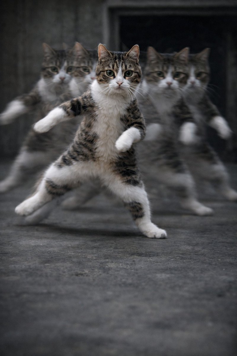 ぎっしぃ((꜆꜄ ˙꒳˙)꜆꜄꜆ tweet media