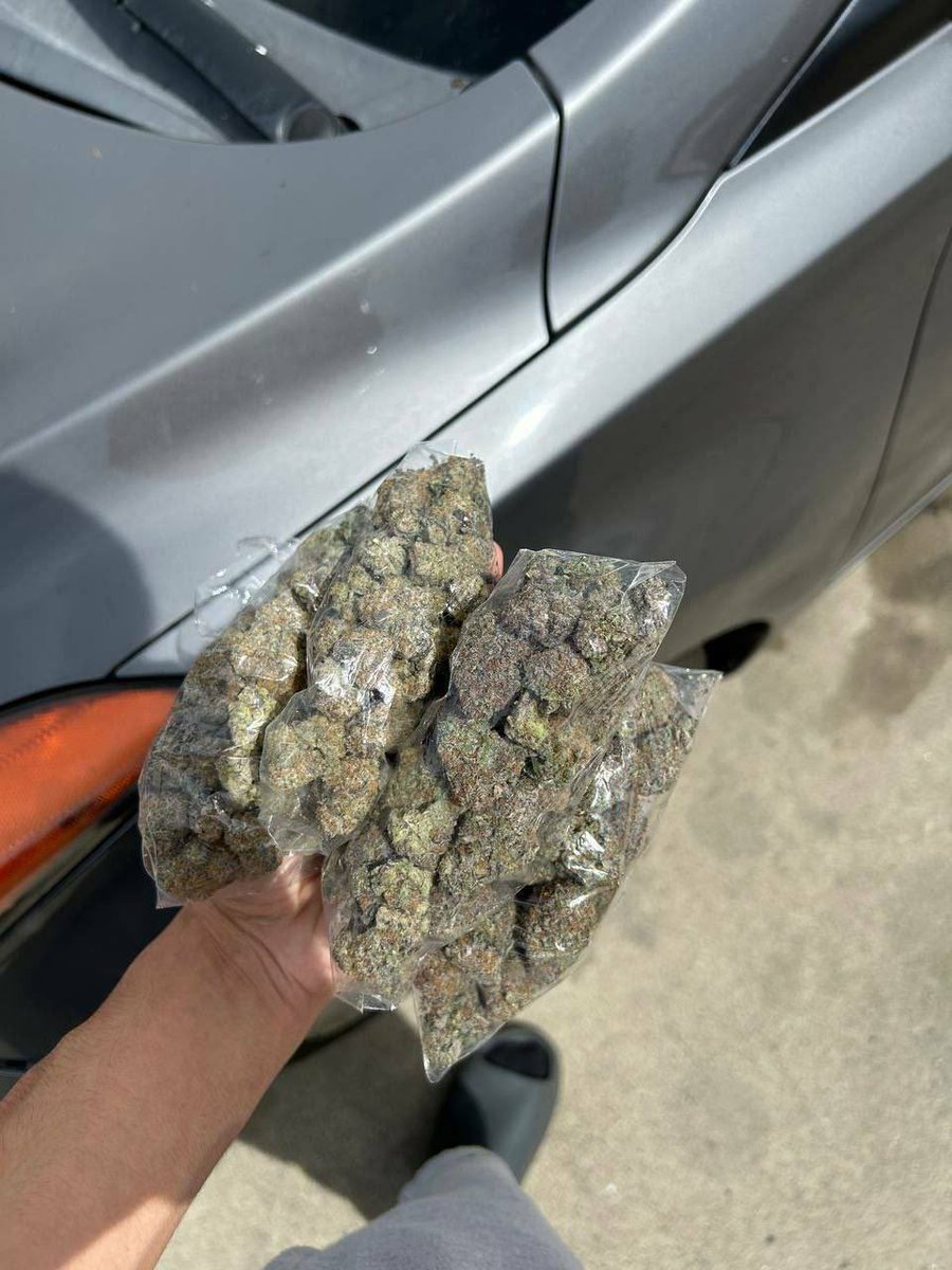 ELMER'S BUDD tweet media