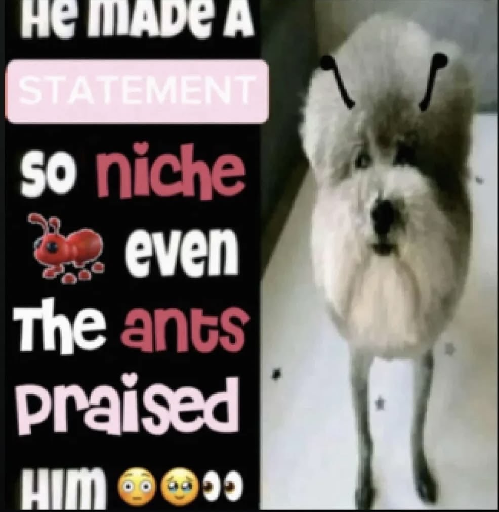 Chippyps tweet media