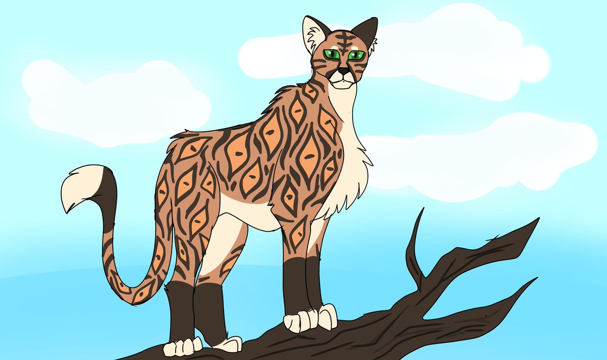 YahyaSobhi3077's tweet photo. I love big cats so I made my spice of thrm now IDK what to name them @ArWoulf @detrefle13 @wildkratts_  #animals #animalsart #bigcat https://t.co/PP8vnXhSaa
