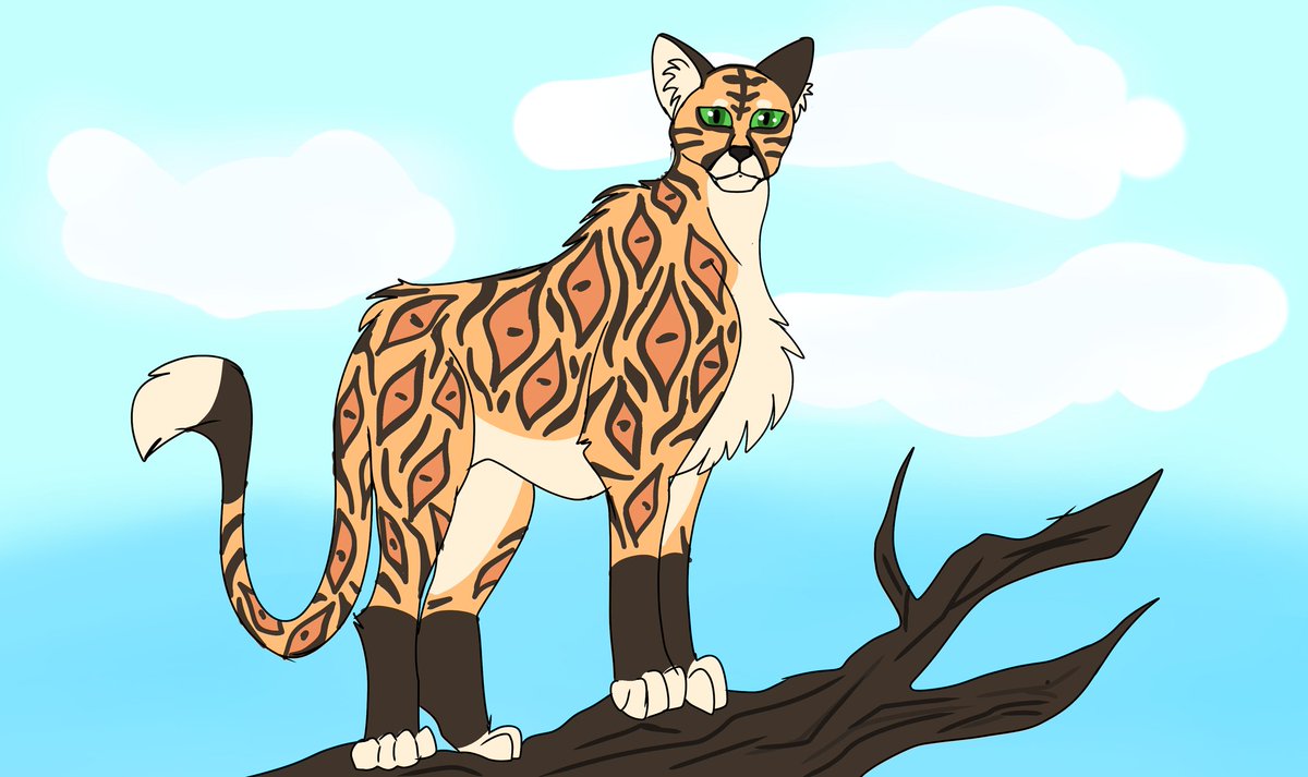 YahyaSobhi3077's tweet photo. I love big cats so I made my spice of thrm now IDK what to name them @ArWoulf @detrefle13 @wildkratts_  #animals #animalsart #bigcat https://t.co/PP8vnXhSaa