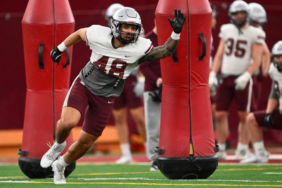 Montana Griz Football tweet media