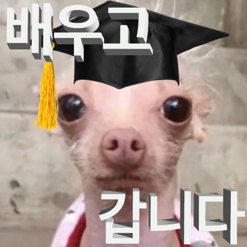 Guro / Kuro tweet media