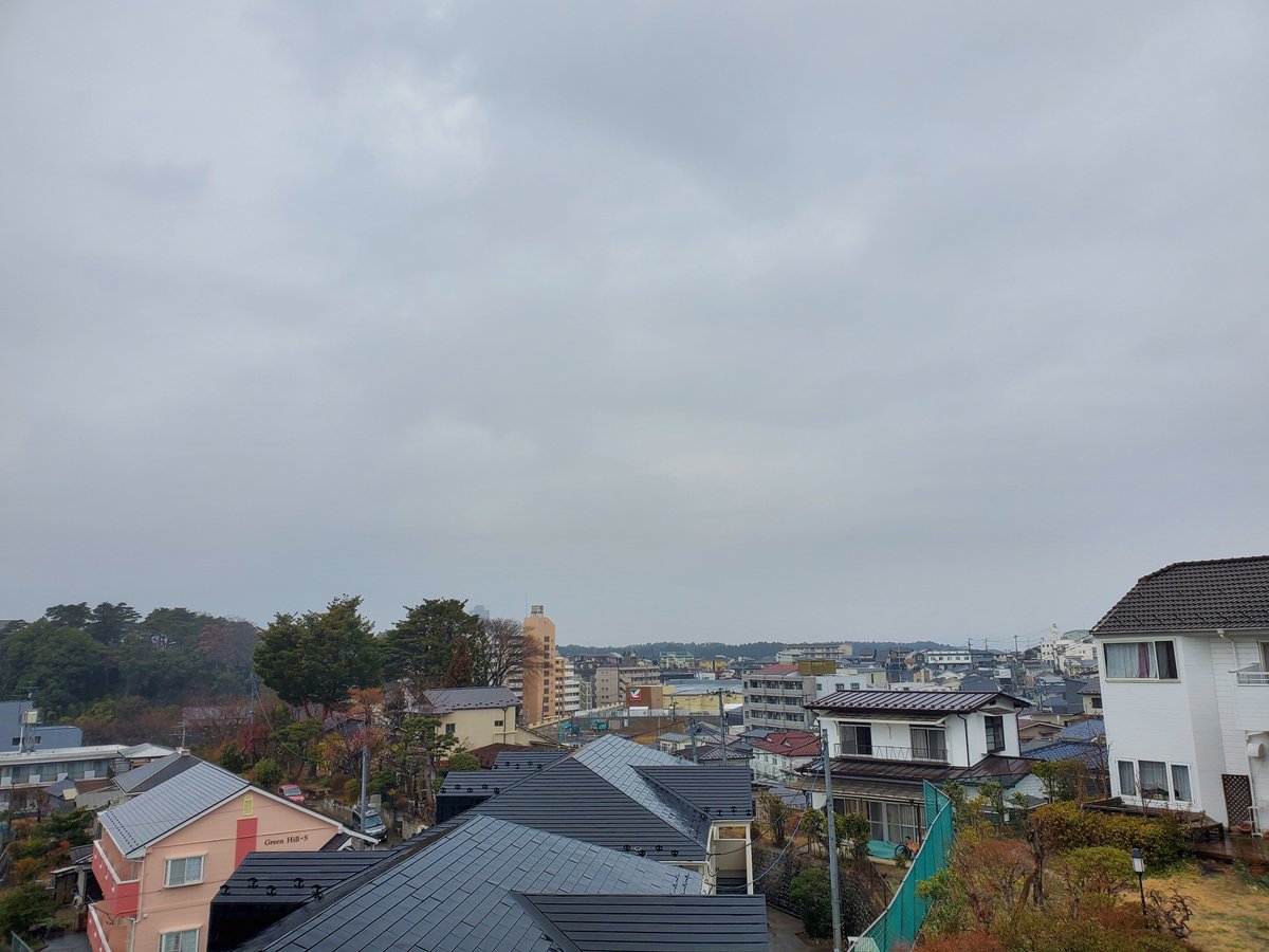 仙台の空・保護にゃんこミーとフク tweet media