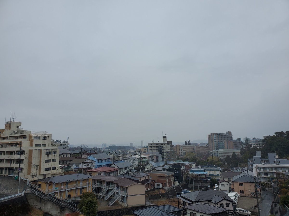 仙台の空・保護にゃんこミーとフク tweet media