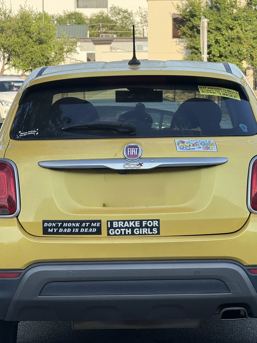 מויש בוילן tweet media