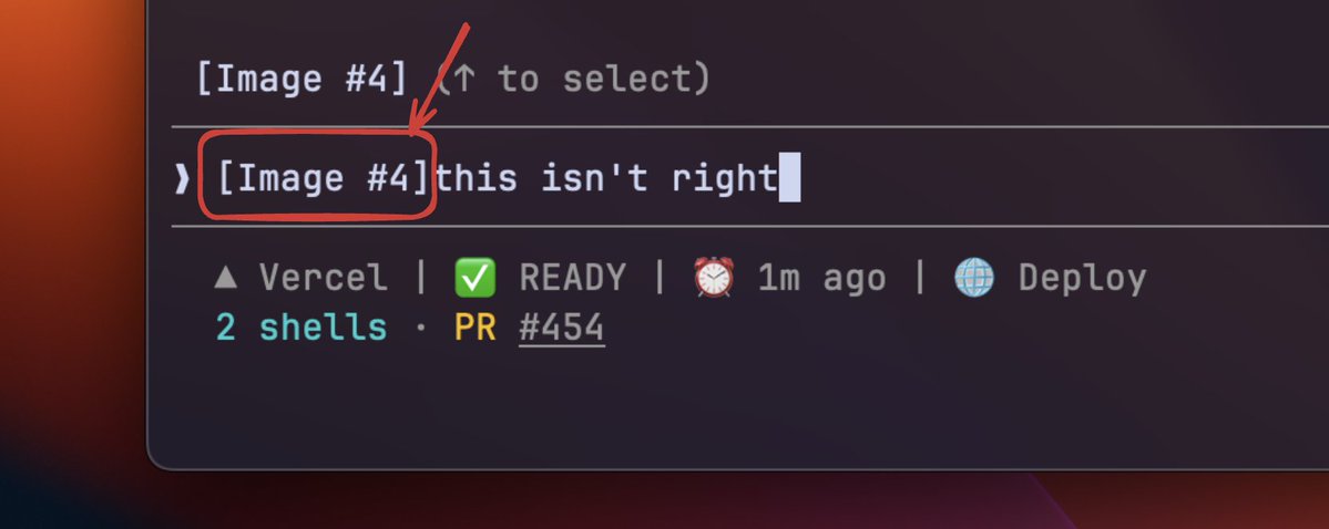 Daniel San tweet media