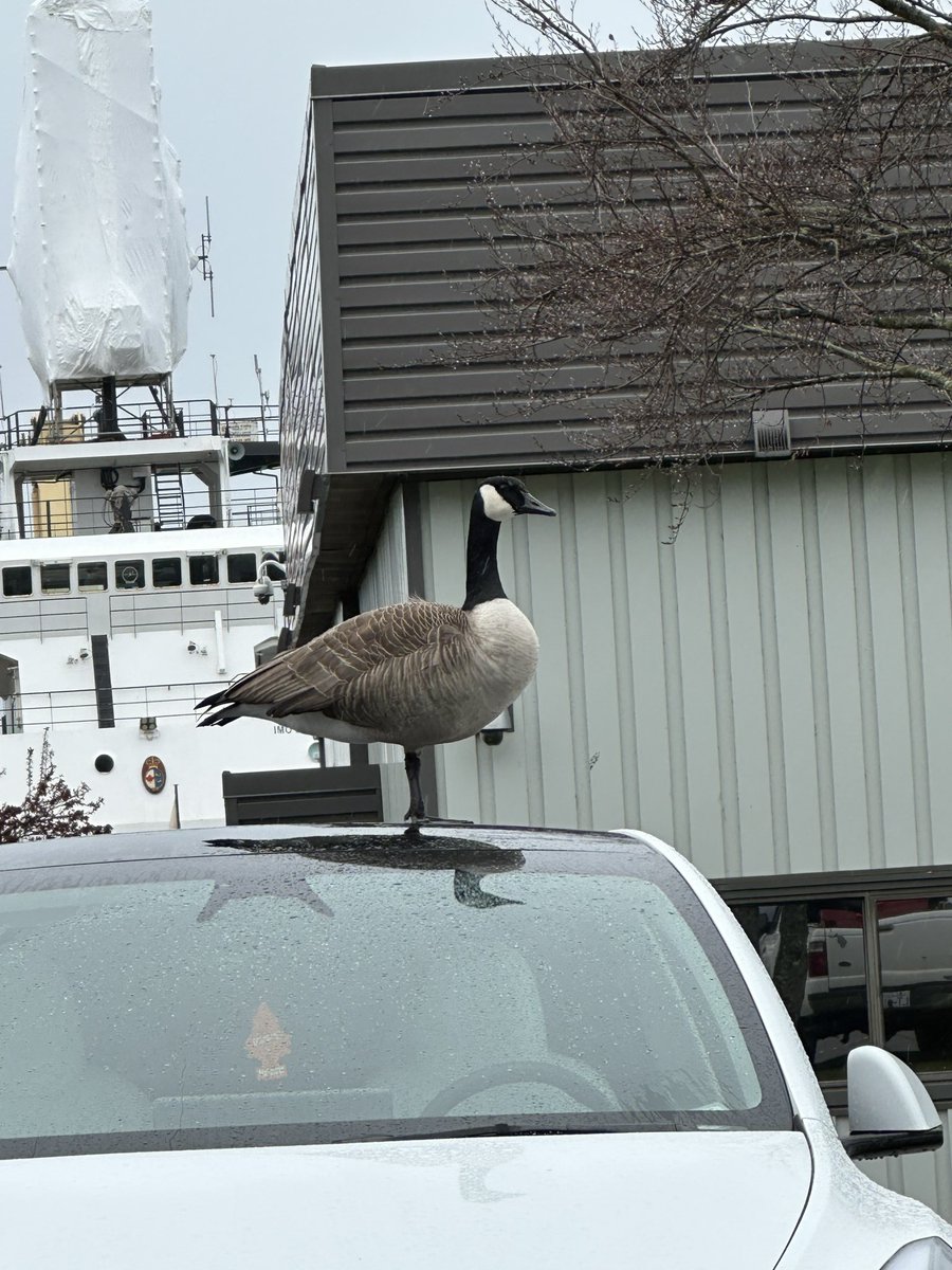 Erik Magraken tweet media