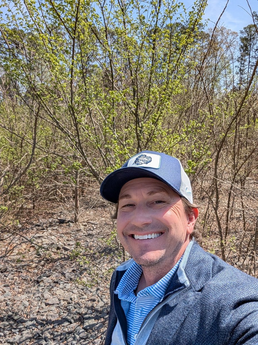 David Britt Real Estate tweet media