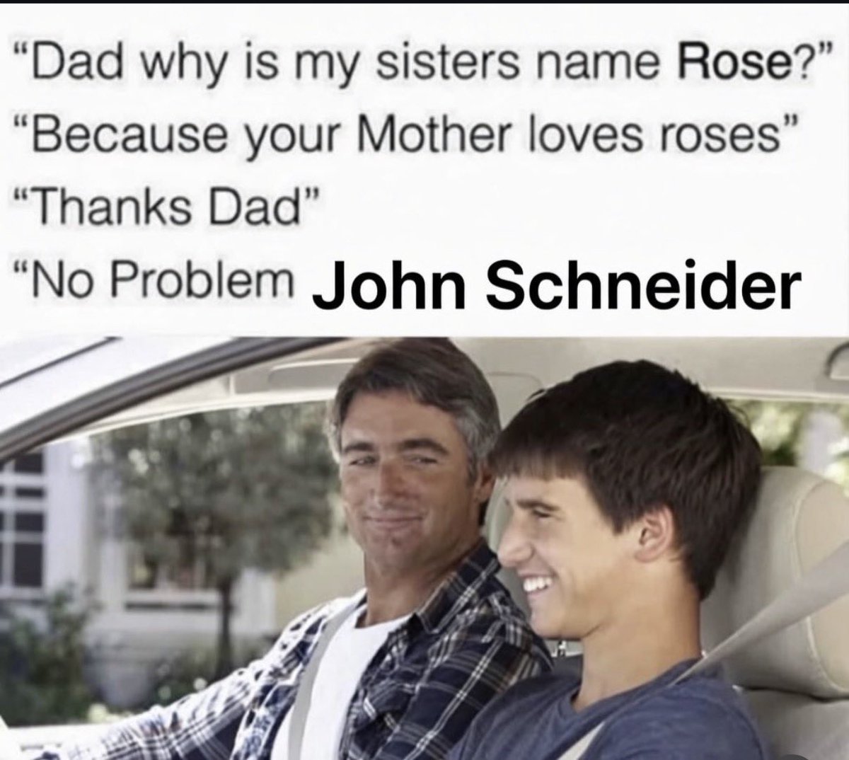 MoreBobo tweet media