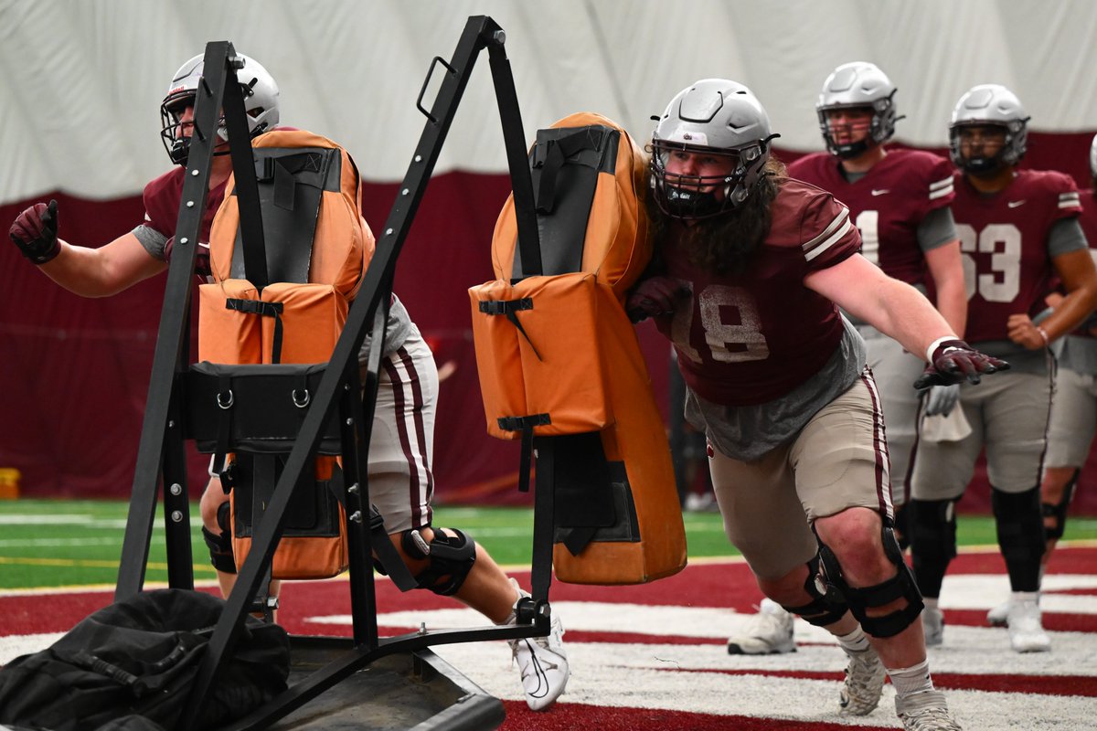 Montana Griz Football tweet media