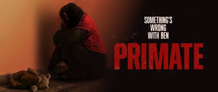 CINEMORPH tweet media