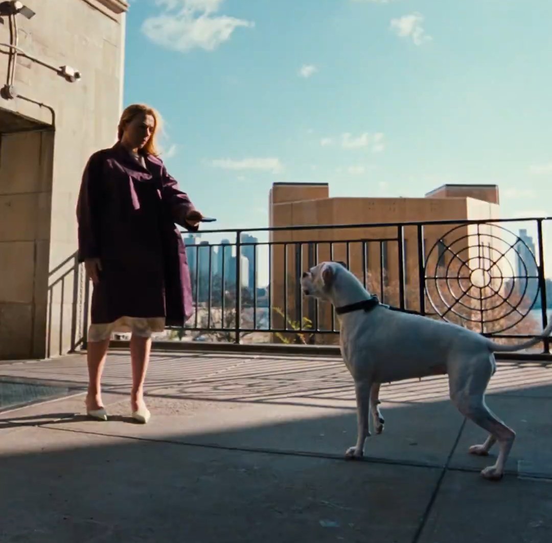 Ray *LANA IS COMING* tweet media