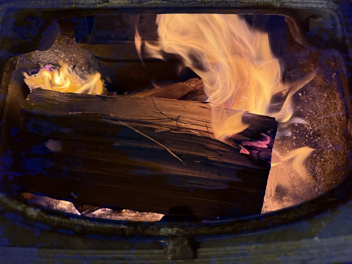 Old Hollow Tree tweet media