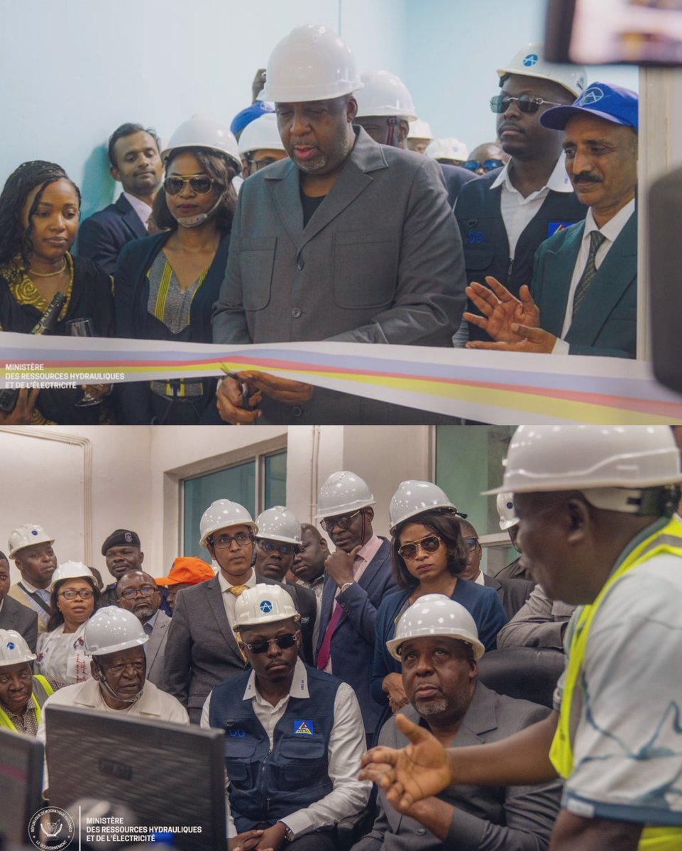 Moano D. tweet media