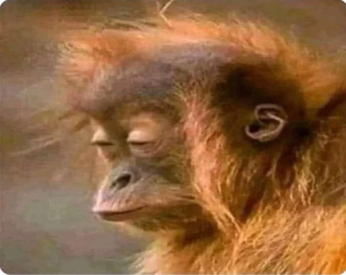 خالد الشملان tweet media