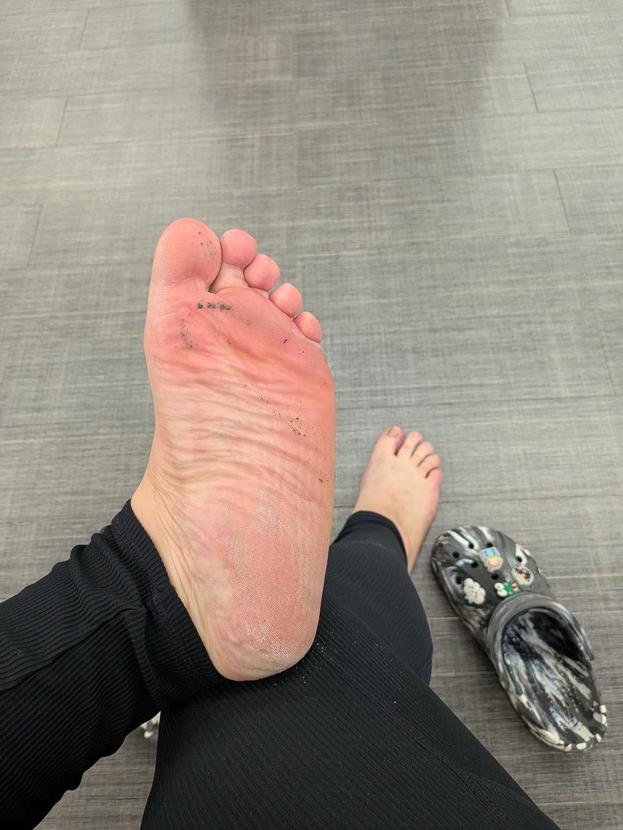 PrincessPanda tweet media