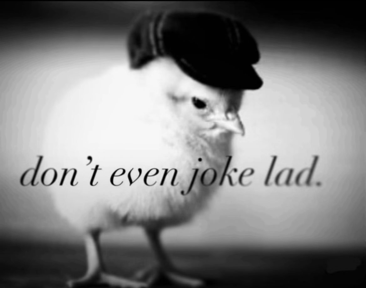 A-ﾒ𝟶 tweet media