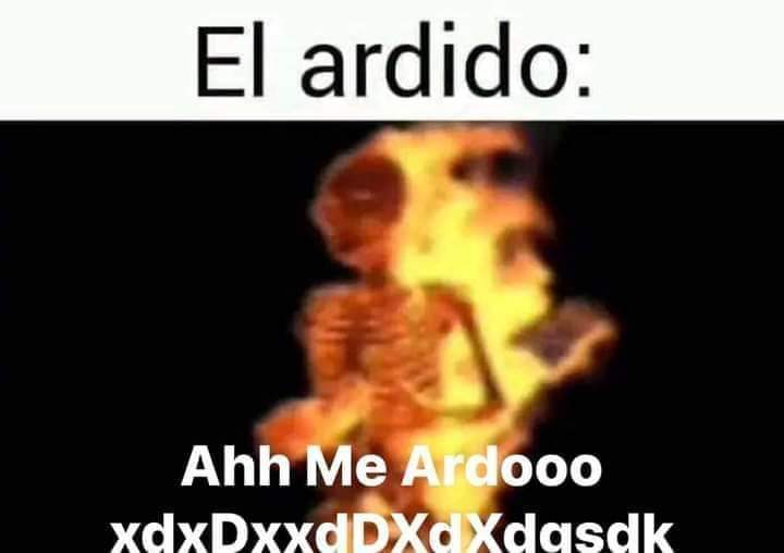 Timoteito tweet media