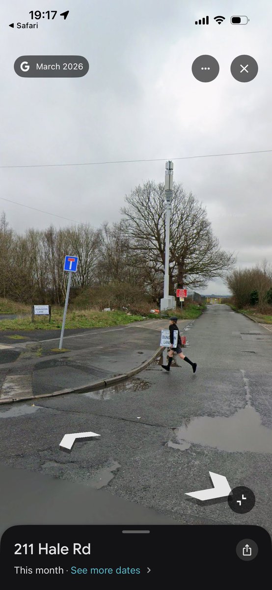 Dree ✿ 🐦⬛ tweet media