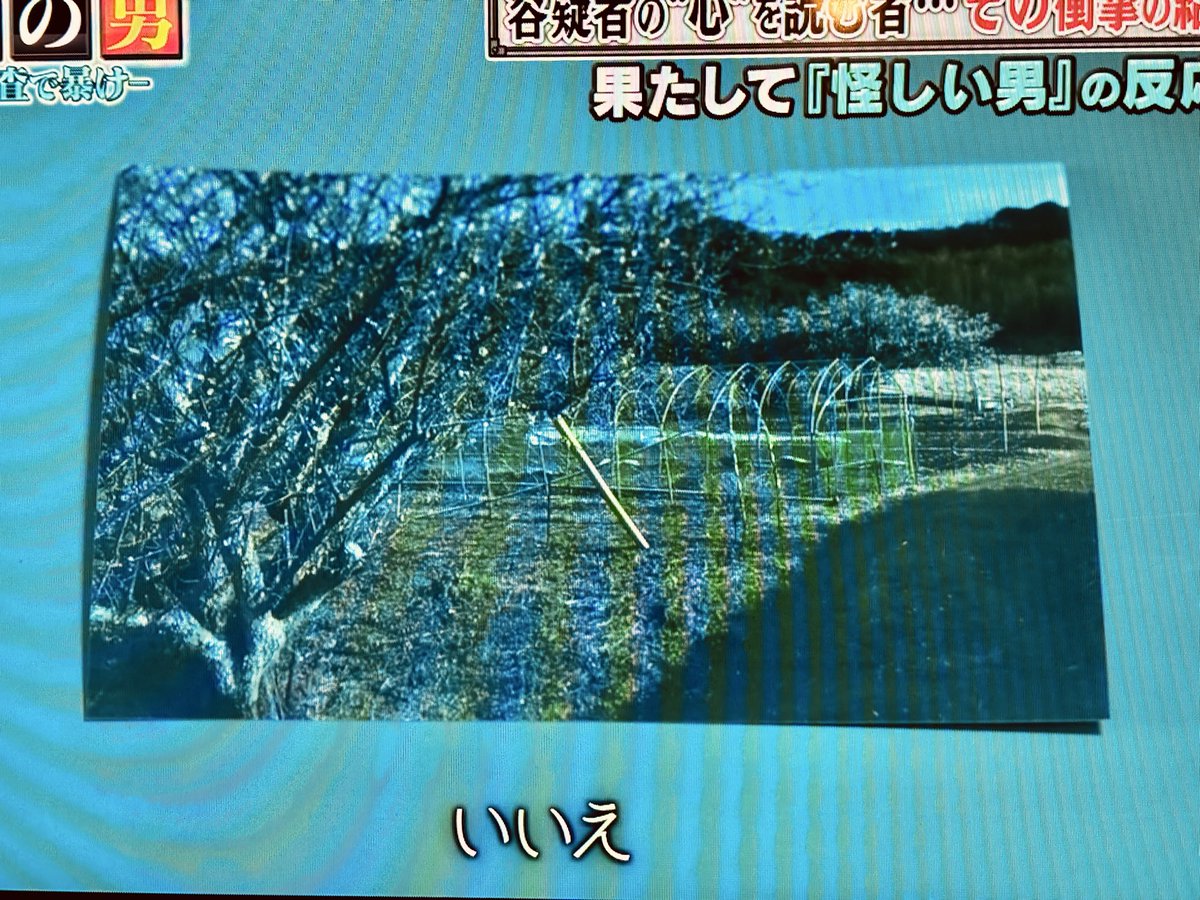 yokozawa tweet media