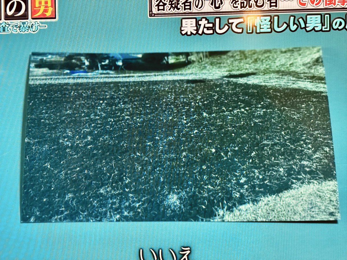 yokozawa tweet media