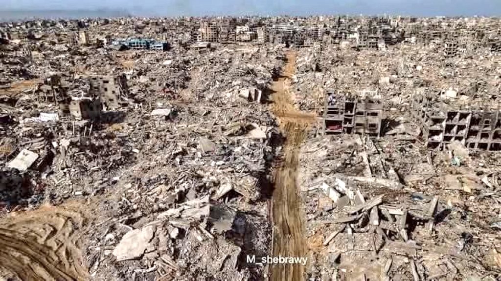 Say Hi Or Die! tweet media