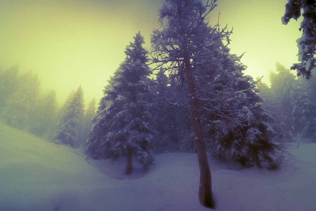 Samantha Cavet tweet media