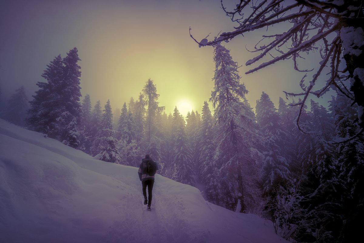 Samantha Cavet tweet media