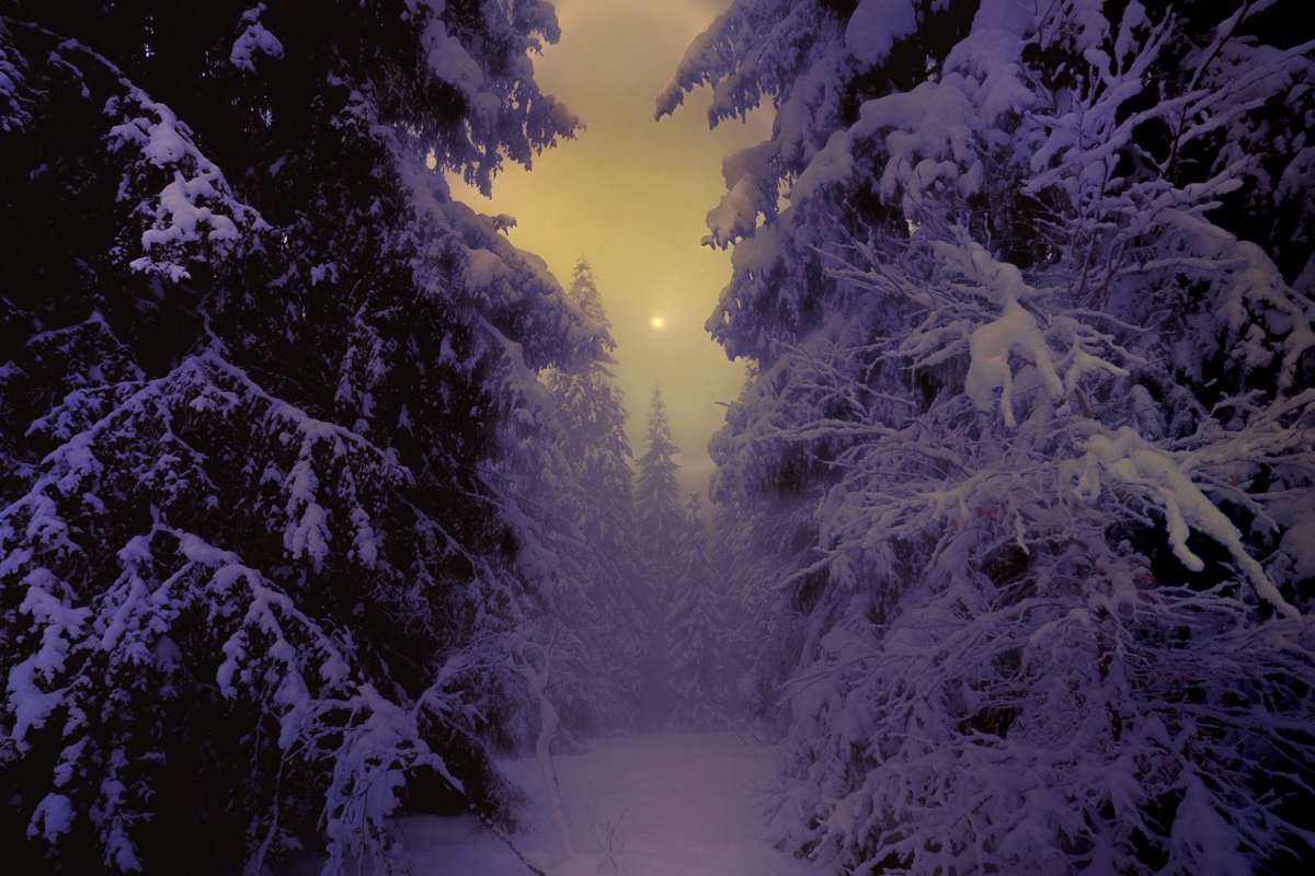 Samantha Cavet tweet media