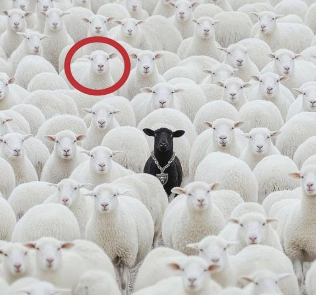 seoud ❟❛❟ tweet media